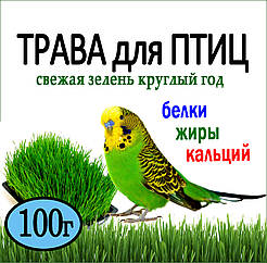 Насіння Трава для Пернатих Птиц Вітамінний коктейль 100 г