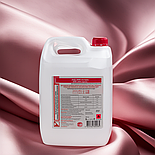 Дезінфікуючий засіб АХД 2000 експрес 5000 мл, фото 2