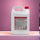 Дезінфікуючий засіб АХД 2000 експрес 5000 мл, фото 6