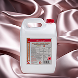 Дезінфікуючий засіб АХД 2000 експрес 5000 мл, фото 8