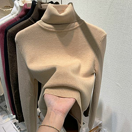 Жіночі водолазки