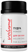 Пудра ProfiStyle VOLUME "Для об'єму", 10 мл
