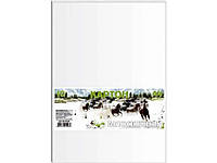 Картон белый 10 листов набор А4 в п/п пакете КА4010Е ТМ ГРАФИКА OS