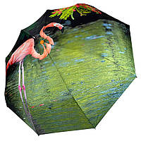 Женский зонт-автомат в подарочной упаковке с платком экзотический принт от Rain Flower 01010-5