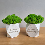 Подарунок стоматологу .декор в стоматологію. кашпо з мохом і назвою клініки, прізвищем лікаря, фото 3
