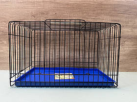 Переноска для папуг Лорі 45*31*27