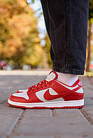 Мужские кроссовки Nike Dunk Low Retro Medium Grey Red