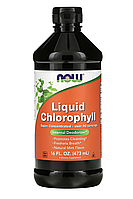 Liquid Chlorophyll - 473 мл - NOW Foods (Жидкий Хлорофилл аромат мяты Нау Фудс)
