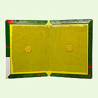 Клейова пастка Пацюк Off велика 21х15см, фото 2