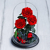Троянда в колбі потрійна в подарунковій упаковці (червона), Троянда під куполом