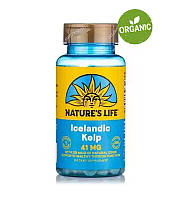 Nature's Life, Исландские бурые водоросли, Келп, kelp, 250 таблеток