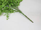 Букет евкаліпта дрібного з напиленням "Елегант". Світло-зелений, фото 3