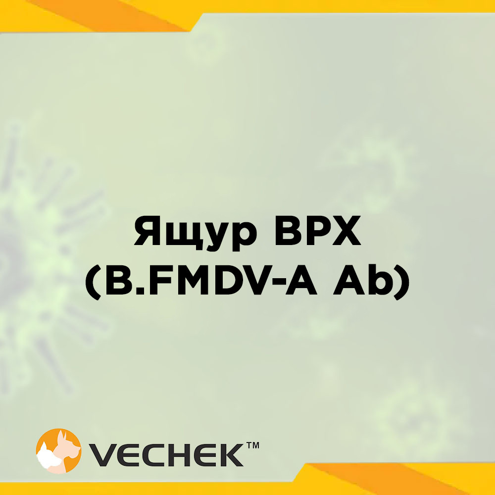 Експрес-тести на антитіла до вірусу ящуру великої рогатої худоби (B.FMDV-A Ab), VIPFMA-302