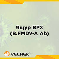 Експрес-тести на антитіла до вірусу ящуру великої рогатої худоби (B.FMDV-A Ab), VIPFMA-302