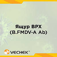 Експрес-тести на антитіла до вірусу ящуру великої рогатої худоби (B.FMDV-A Ab), VIPFMA-302