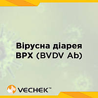 Експрес-тести на вірусну діарею великої рогатої худоби (BVDV Ab), VIBVD‐302