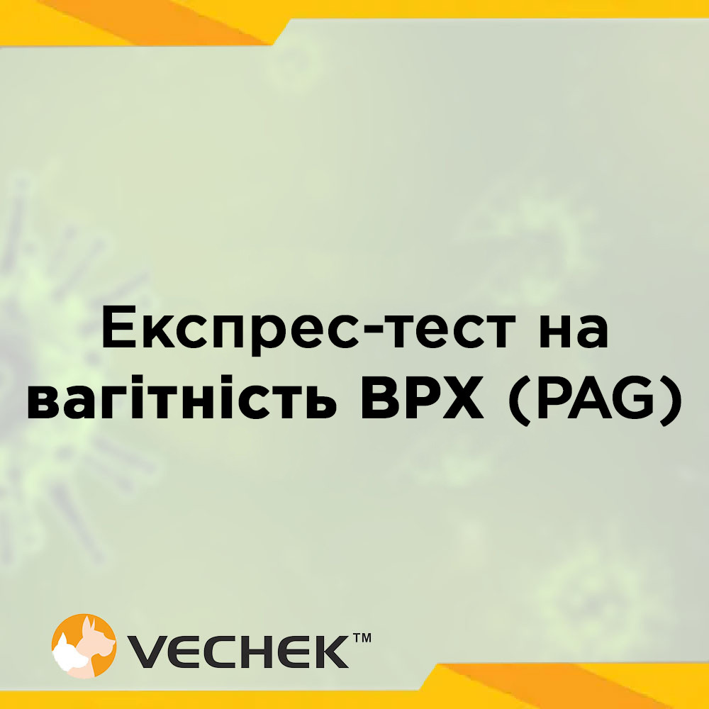 Експрес-тест на вагітність великої рогатої худоби (PAG), VIBPAG-302