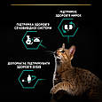 Pro Plan Sterilised Adult Renal Plus для дорослих котів після стерилізації з індичкою, 400 г, фото 5