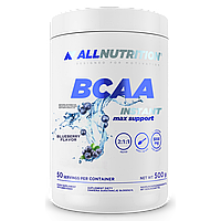 BCAA Max Support Instant - 500g Bllueberry