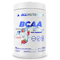 BCAA Max Support Instant - 500g Raspberry