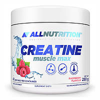 Creatine Muscle Max - 250g Orange