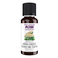 Atlas Cedar Oil - 30ml (1fl.oz)