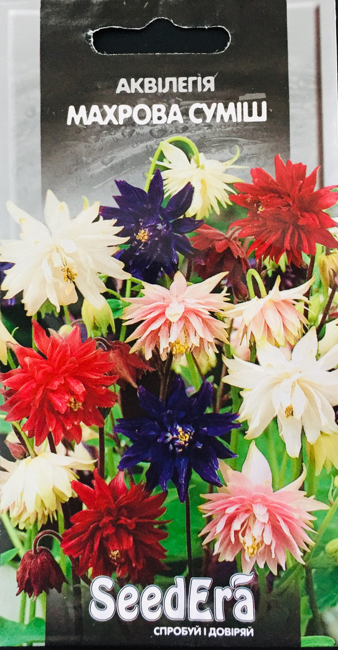 Аквілегія багаторічна махрова суміш 0,1 г, фото 1