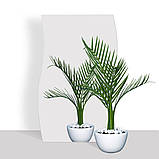 Дзеркало акрилове самоклеюче 270*420мм*2мм SW-00001519, фото 4