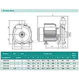 Відцентровий насос SHIMGE CPm158, 0.75кВт, Нmax=32 м, Qmax=120л/хв, фото 4