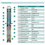 Насос свердловинний SHIMGE 3SG(m) 1.8/7-0.18 кВт, Н 30(23)м, Q 45(30)л/хв, Ø75 мм, (кабель 20 м), фото 4