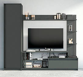 Сучасна маленька вузька сіра міні стінка під телевізор з шафою для одягу у вітальню, зал Брайт