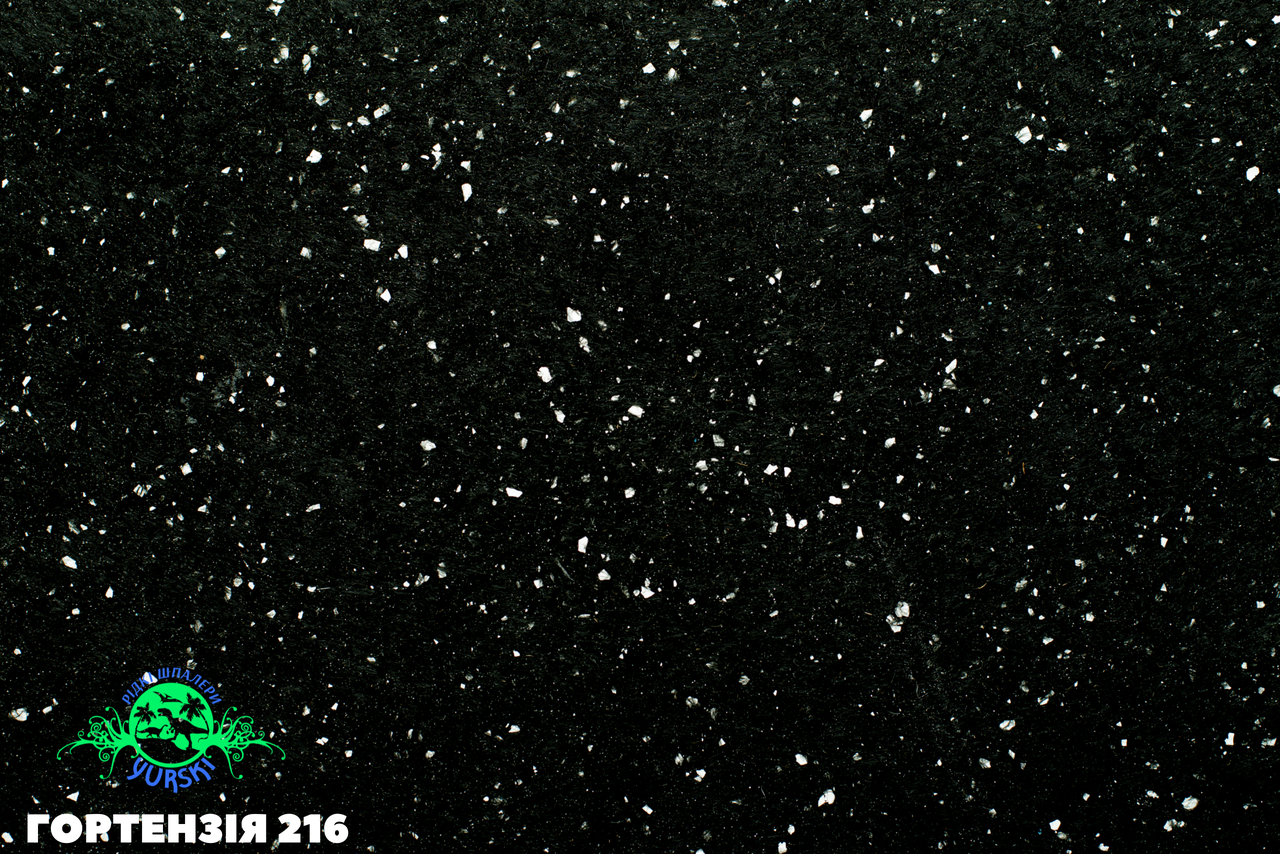 Гортензія 216