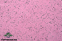 Рідкі шпалери тип Гортензія 219