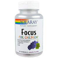 Поддержка развивающегося мозга детей со вкусом винограда Solaray (Focus For Children) 60 жевательных таблеток
