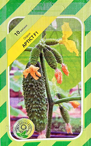 Огірок Артіст F1 100н АПГ, фото 1