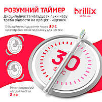 Електрична зубна щітка Brillix Home&Travel Collection Gray, фото 4