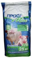 БВМД Профімікс Старт ДВА ПЛЮС 25% для свиней та поросят 10-25кг, 25 кг O.L.KAR.