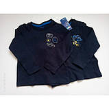 Кофти реглани лонгсліви Lupilu на хлопчика малюка / набір 2 шт. / р.74-80 - 6-12 місяців, фото 2