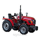 Трактор Т244TНL (24 к. с. ГУР, блокування), фото 7