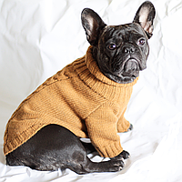 Теплый вязаный свитер для собак шерстяной под горло с узором косичка Горчичный