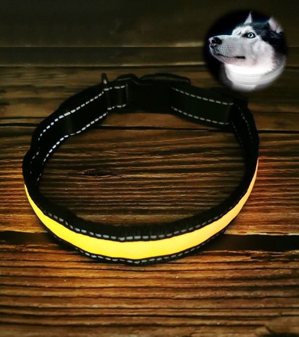 Нашийник для собак що світиться Animal Led Yellow Розмір XL