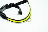 Нашийник для собак що світиться Animal Led Yellow Розмір XL, фото 3