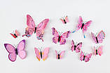 Метелики для декору 12 штук 3D Butterflies Rose, фото 3