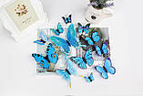 Метелики для декору 12 штук 3D Butterflies Blue, фото 3