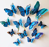 Метелики для декору 12 штук 3D Butterflies Blue, фото 4