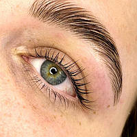 Все для брів і вій