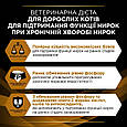 Pro Plan Veterinary Diets NF Renal Early Function - дієтичний вологий корм зі шматочками курки в соусі, 85г, фото 6