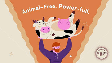 (уценка срок по 10.25) Сироватковий протеїн на мікрофлоре MyProtein Whey Forward 256 г (Strawberry Banana), фото 5