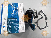 Насос водяной Ford C-Max 2007-10, Connect 02-13, Fiesta IV 96-02, Fiesta COURIER 96-02, Focus I 98-05, Focus