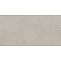 Плитка Ecoceramic Slabs Gris 60х120